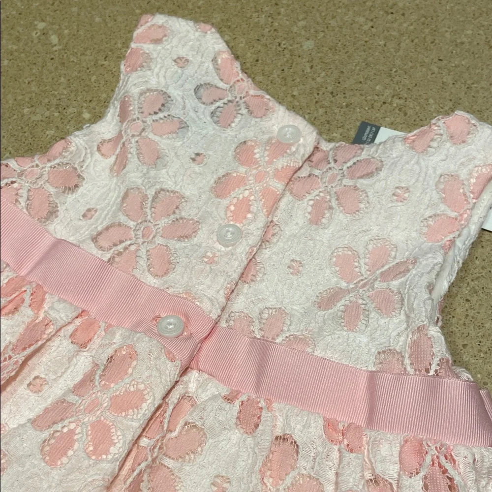 Gymboree Pink and White Floral Lace Dress